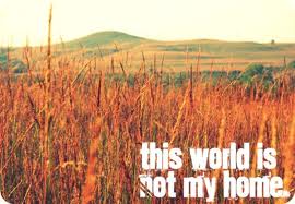 They That Dwell On the&nbsp;Earth